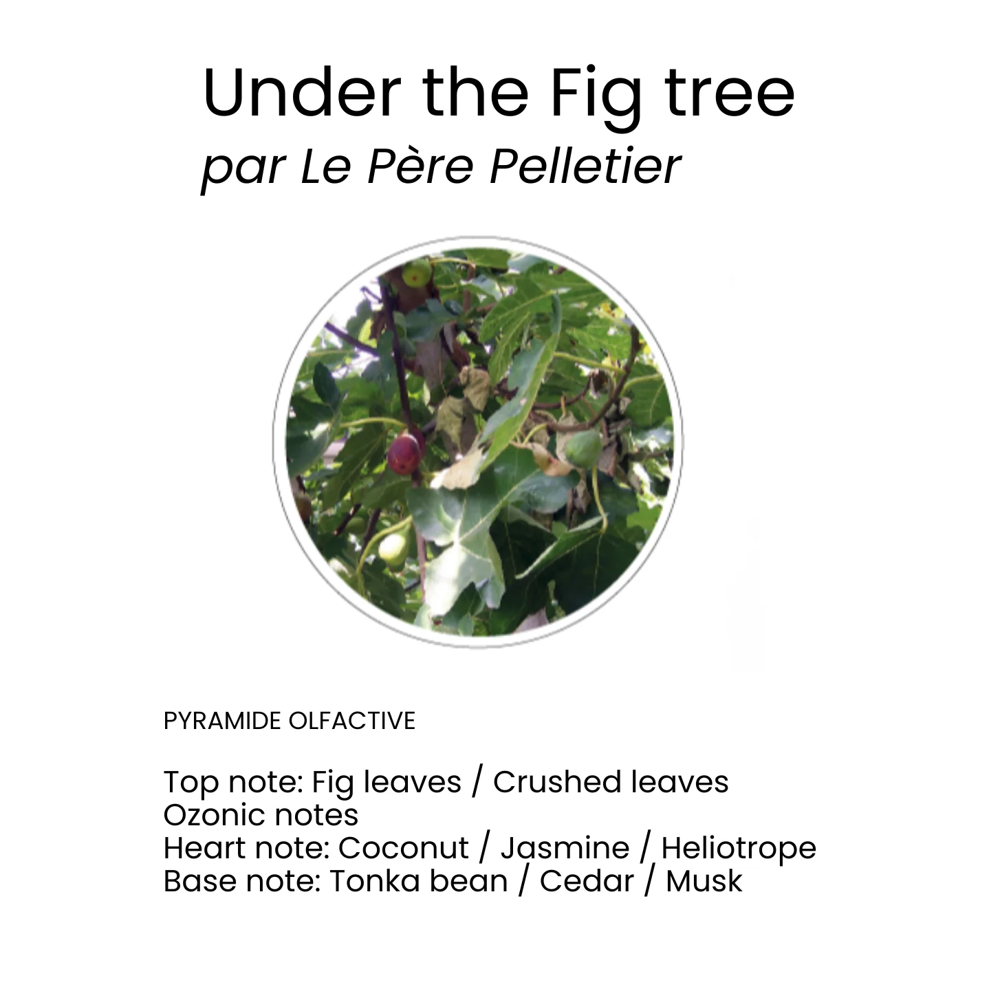 Scented Interior Powder - Image 6