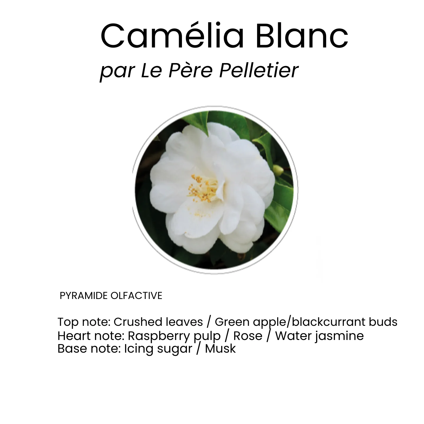 Scented Interior Powder - Image 7